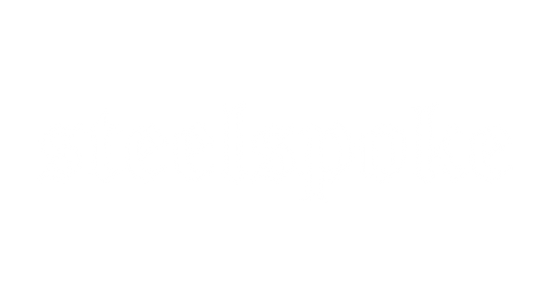 steelspoke